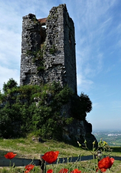 RACCONTA BRENDOLA CON IMMAGINI