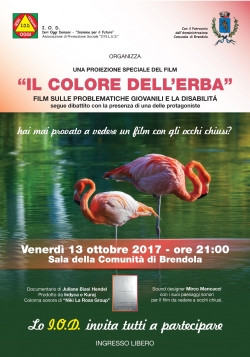 IL COLORE DELL'ERBA