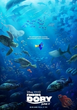 ALLA RICERCA DI DORY