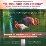 IL COLORE DELL'ERBA