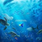 ALLA RICERCA DI DORY